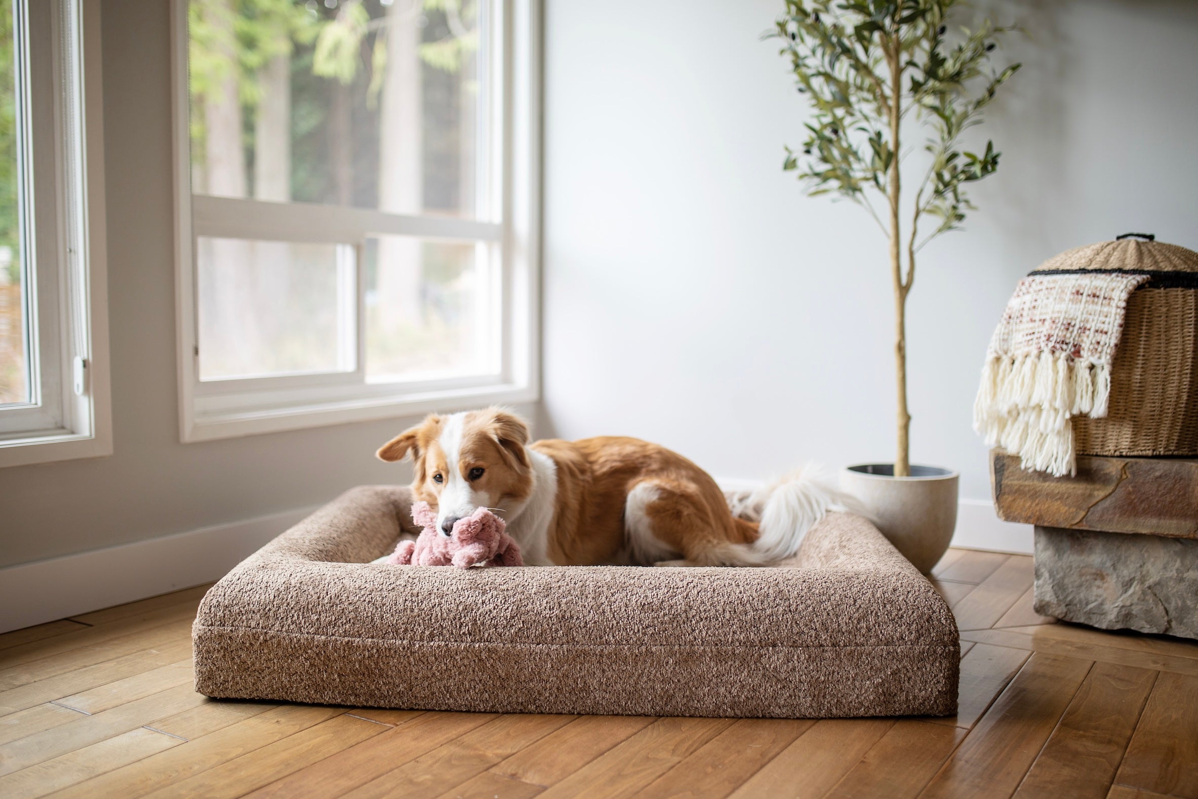 The Sunday Bed