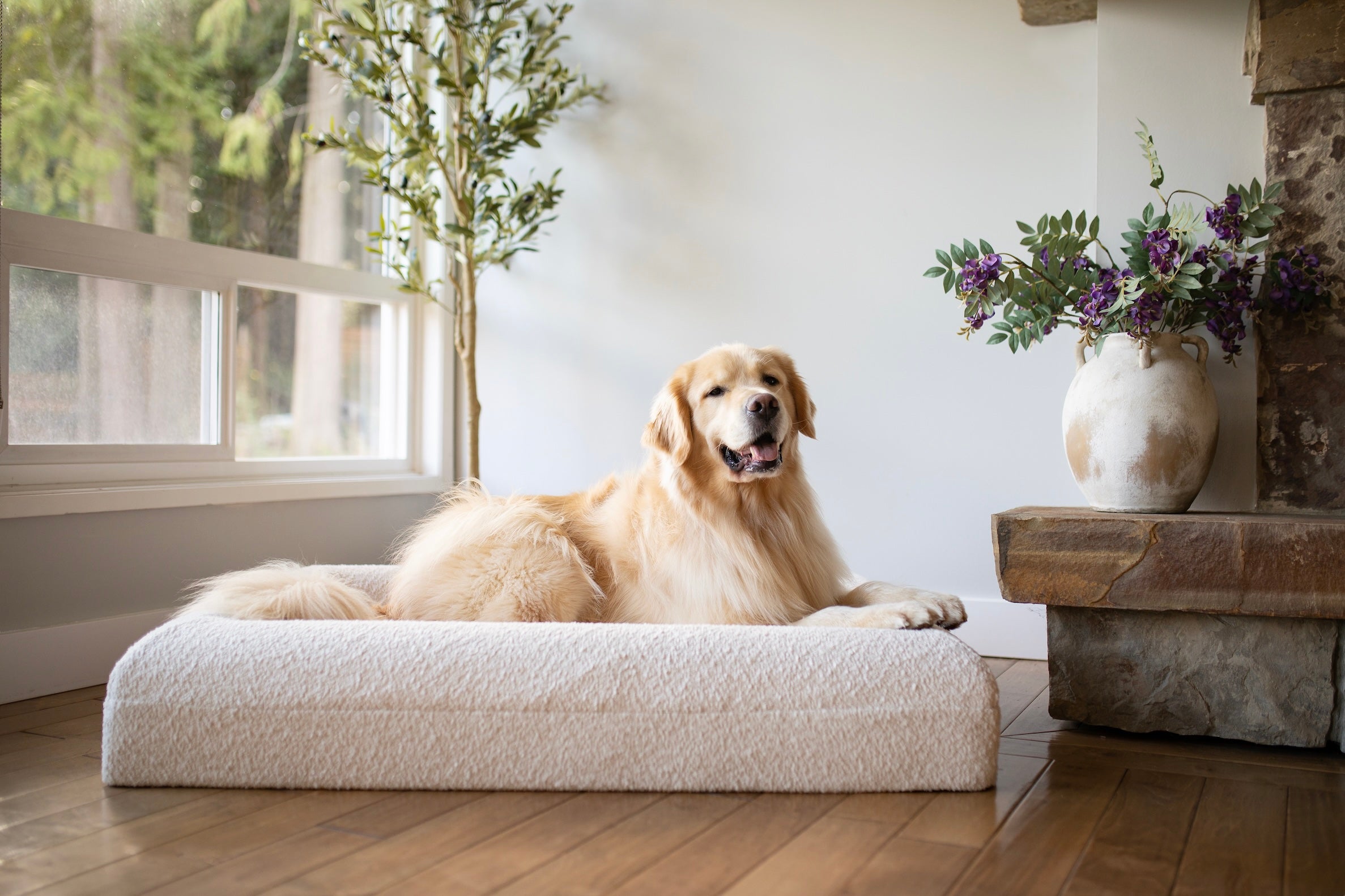 The Sunday Bed