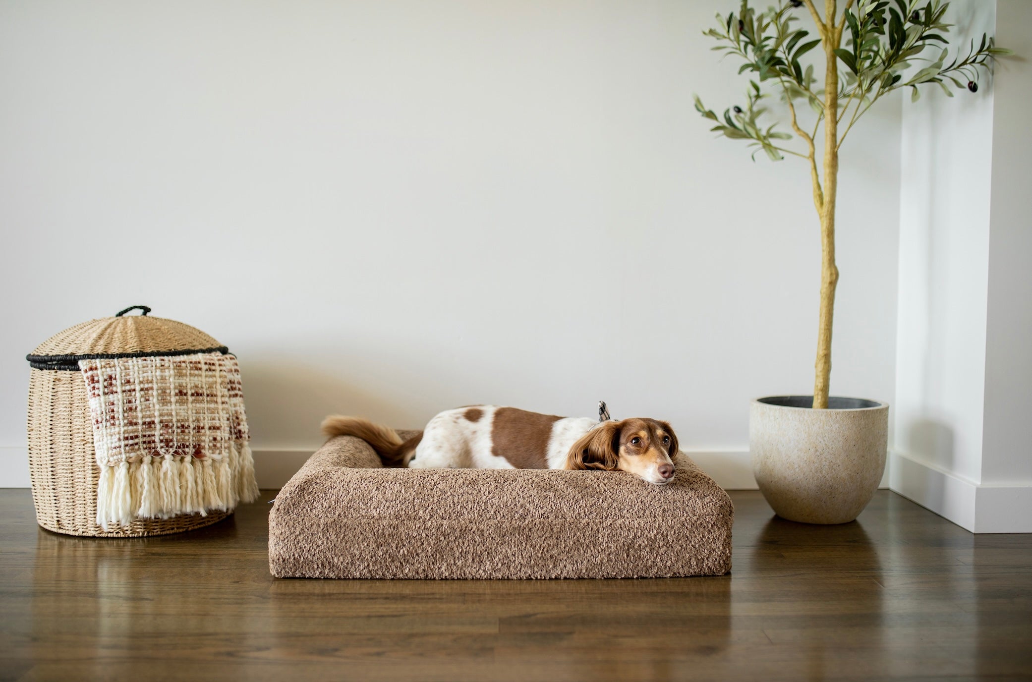 The Sunday Bed